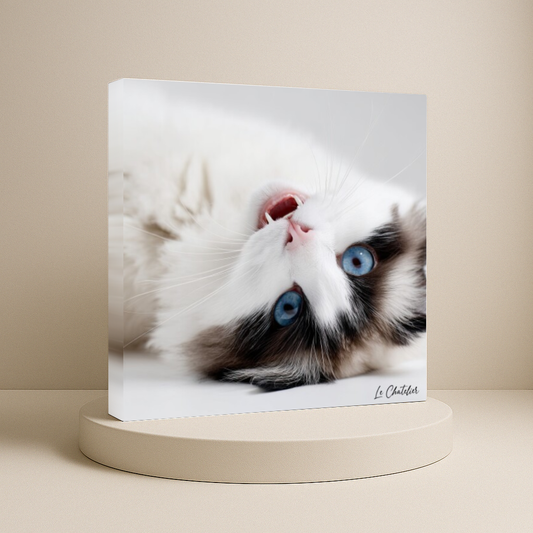 Toile - Regard Renversant