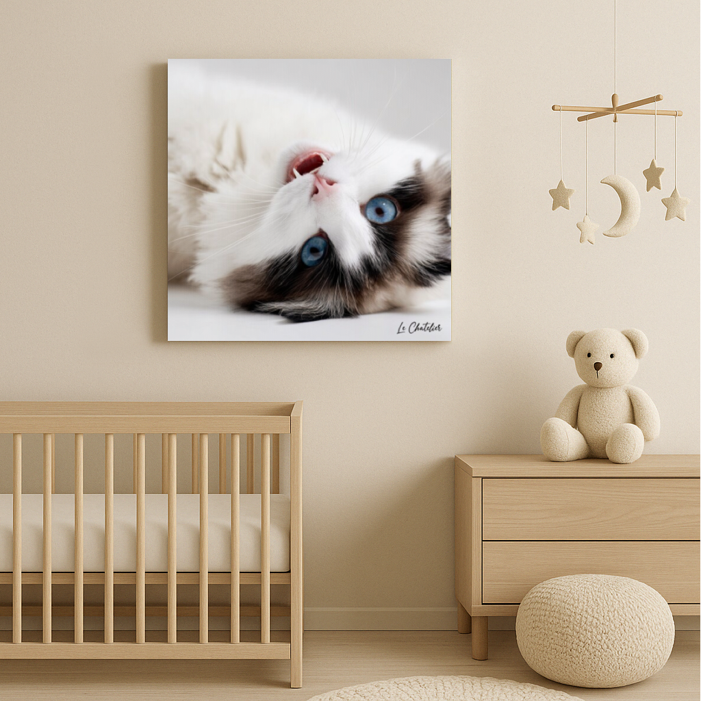 Toile - Regard Renversant